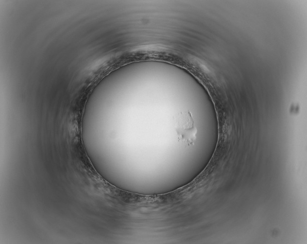 X0000096181062200802011337