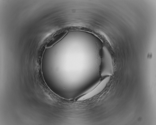 X0000096181064200802011336