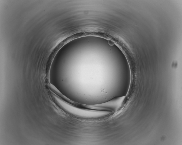 X0000096181065200802011336