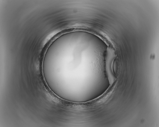 X0000096181066200802011336
