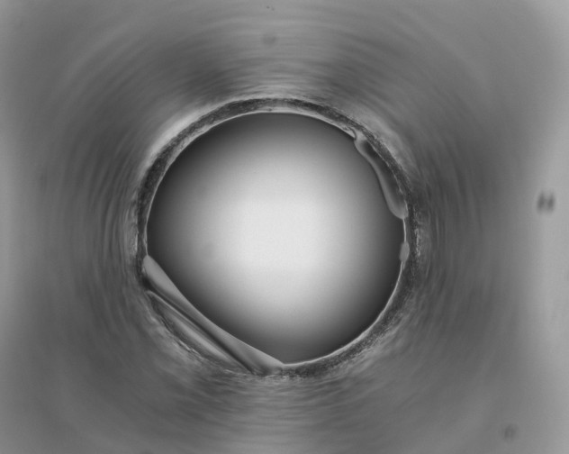 X0000096181069200802011336