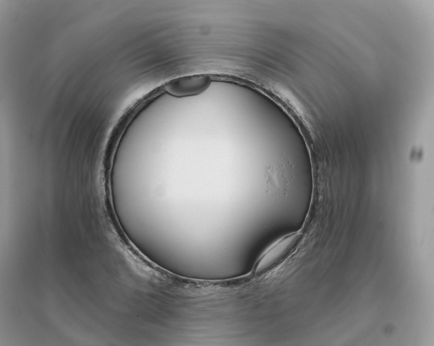 X0000096181072200802011336