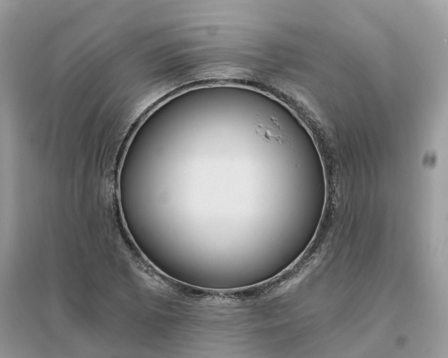 X0000096181073200802011336