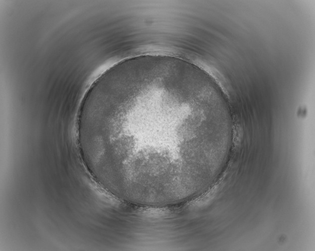 X0000096181074200802011336