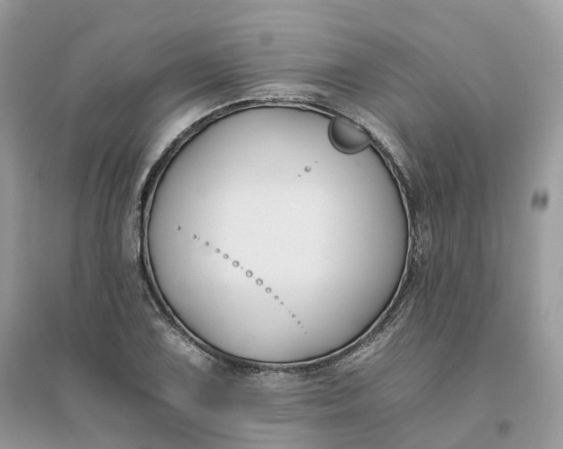 X0000096181075200802011336