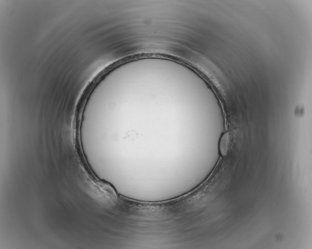 X0000096181076200802011336