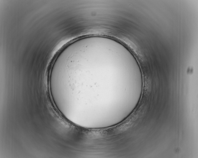 X0000096181078200802011336
