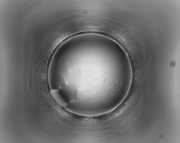 X0000096181081200802011336