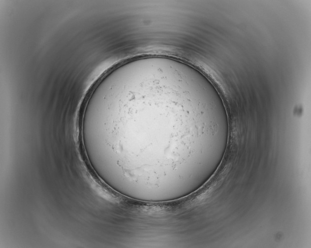 X0000096181082200802011336