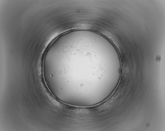 X0000096181083200802011336