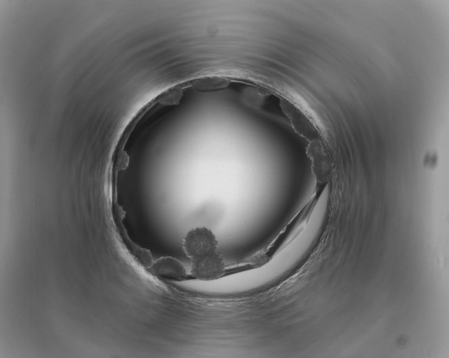 X0000096181084200802011336