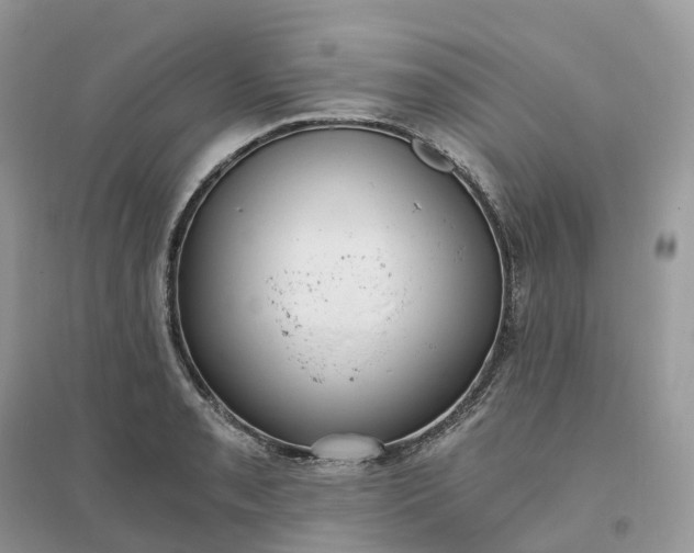 X0000096181085200802011336