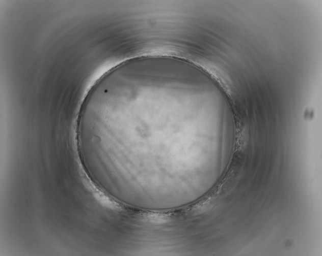 X0000096181086200802011336
