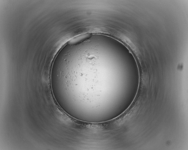 X0000096181089200802011336