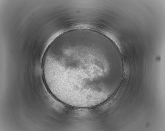 X0000096181090200802011336