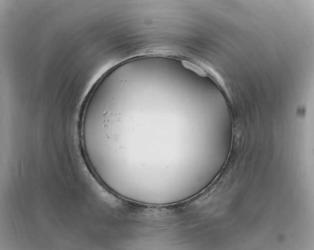 X0000096181091200802011336