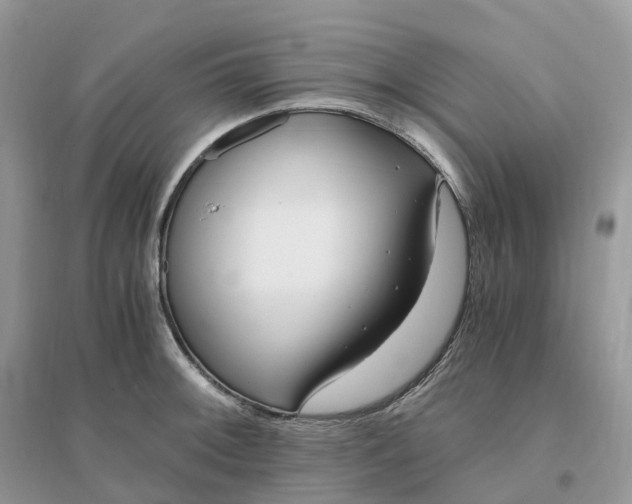 X0000096181092200802011336