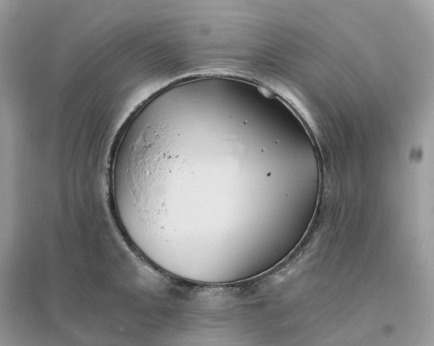 X0000096181093200802011336