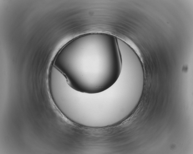 X0000096181096200802011336