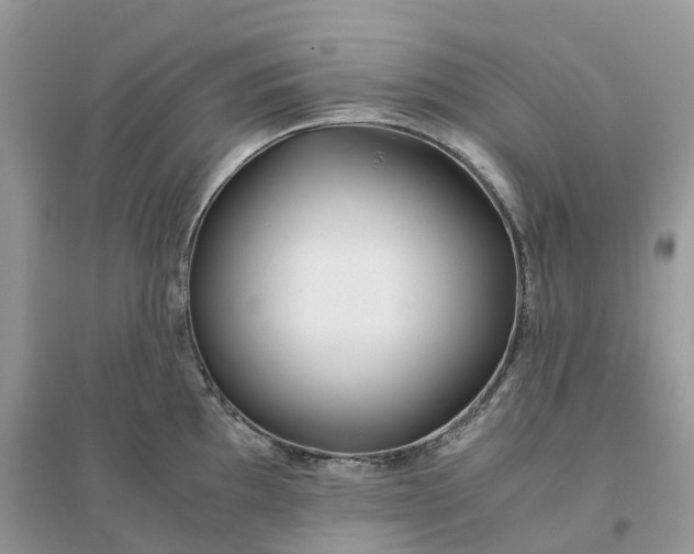 X0000096181097200802011336