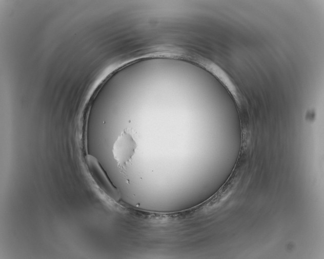 X0000096181099200802011336