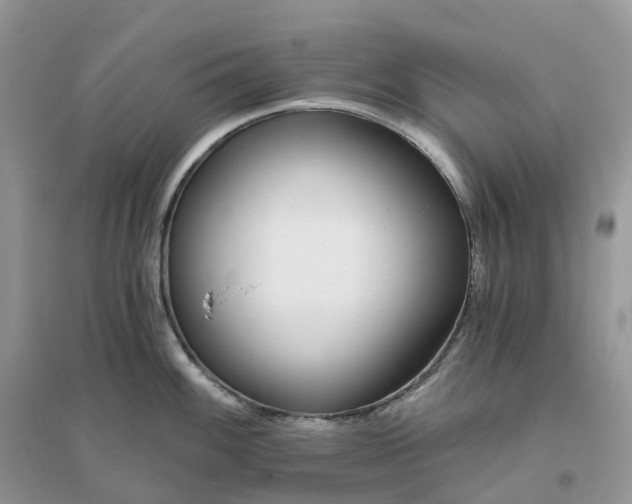 X0000096181100200802011336