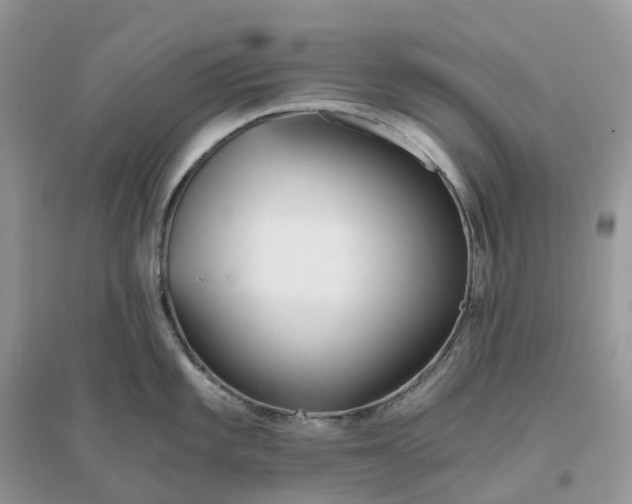 X0000096181101200802011336