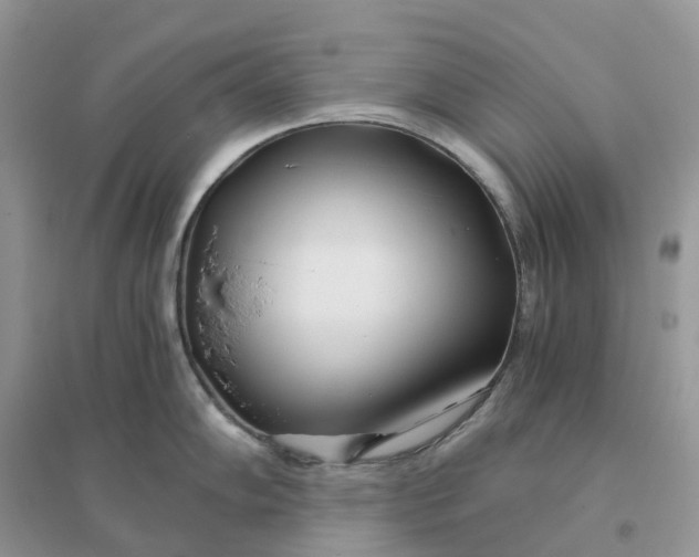 X0000096181102200802011336