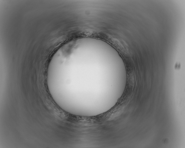 X0000096181105200802011335