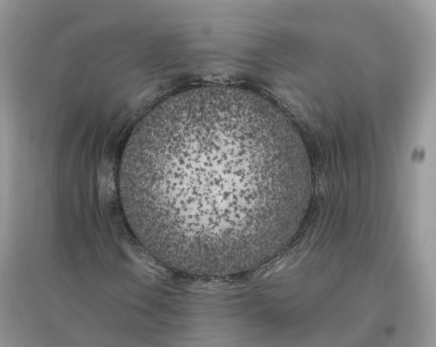 X0000096181106200802011335
