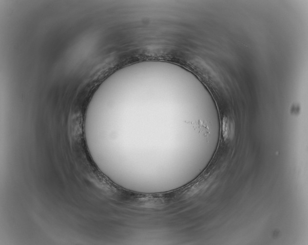 X0000096181107200802011335