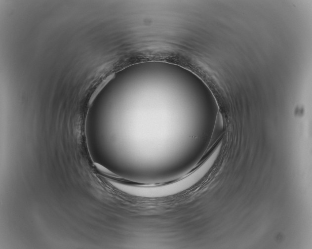 X0000096181108200802011335