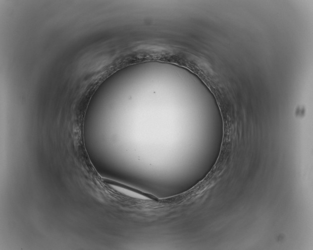 X0000096181109200802011335