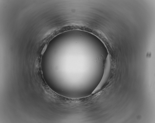 X0000096181110200802011335