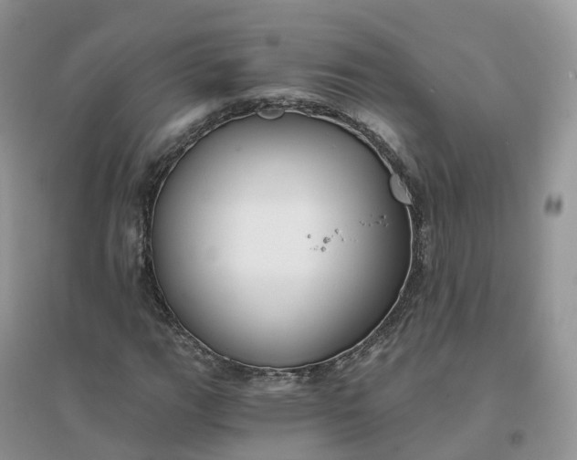 X0000096181111200802011335