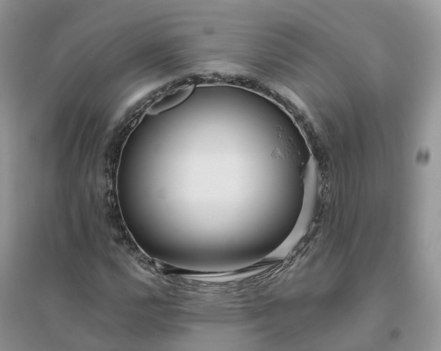 X0000096181112200802011335