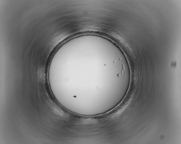 X0000096181113200802011335