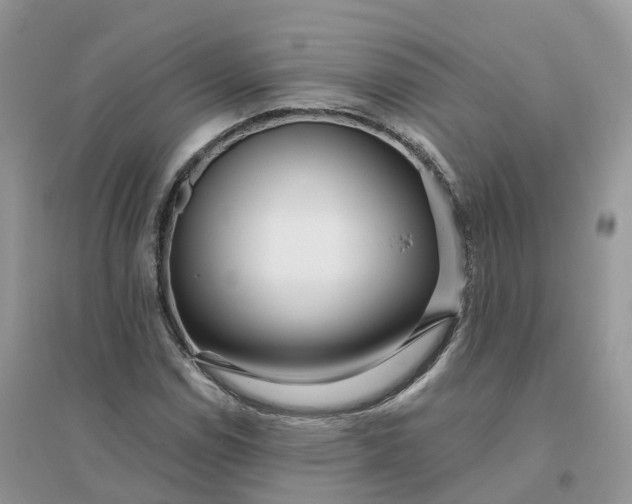 X0000096181114200802011335