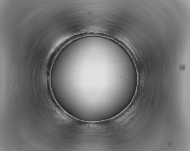X0000096181115200802011335