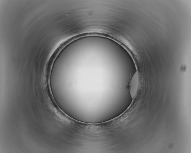 X0000096181116200802011335