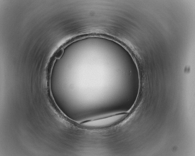 X0000096181118200802011335