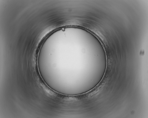 X0000096181119200802011335