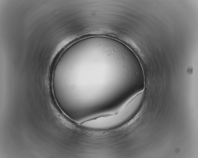X0000096181122200802011335