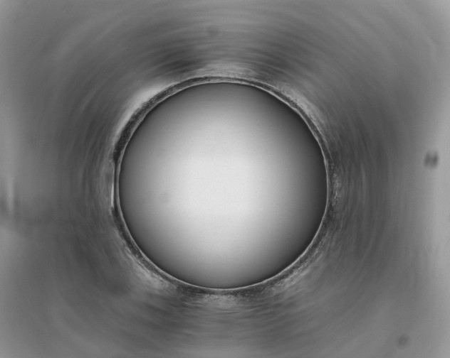 X0000096181123200802011335