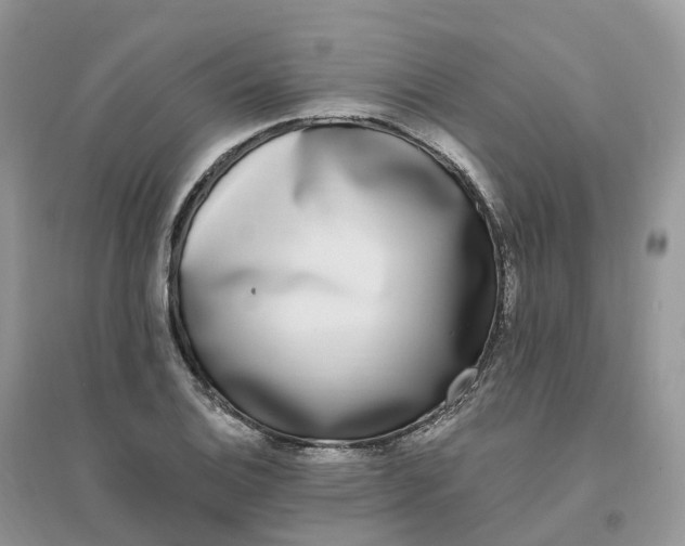 X0000096181124200802011335