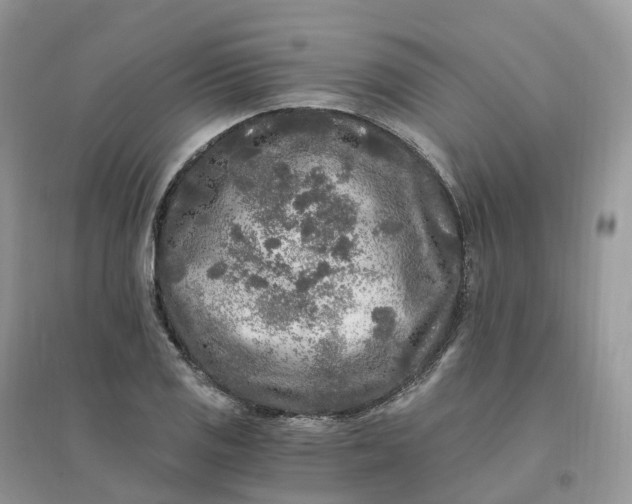 X0000096181125200802011335