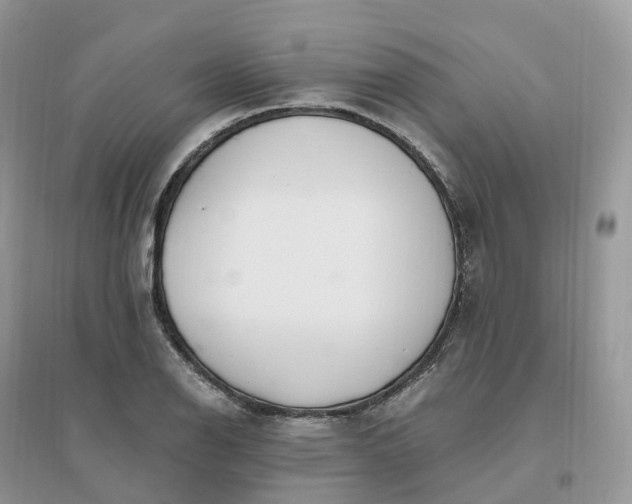 X0000096181126200802011335
