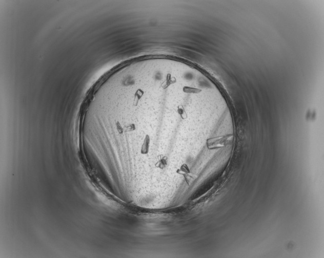 X0000096181127200802011335