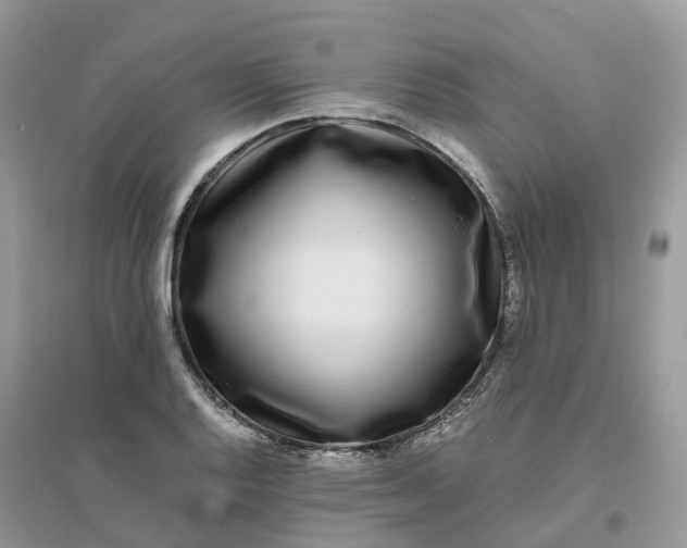 X0000096181128200802011335