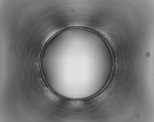 X0000096181129200802011335